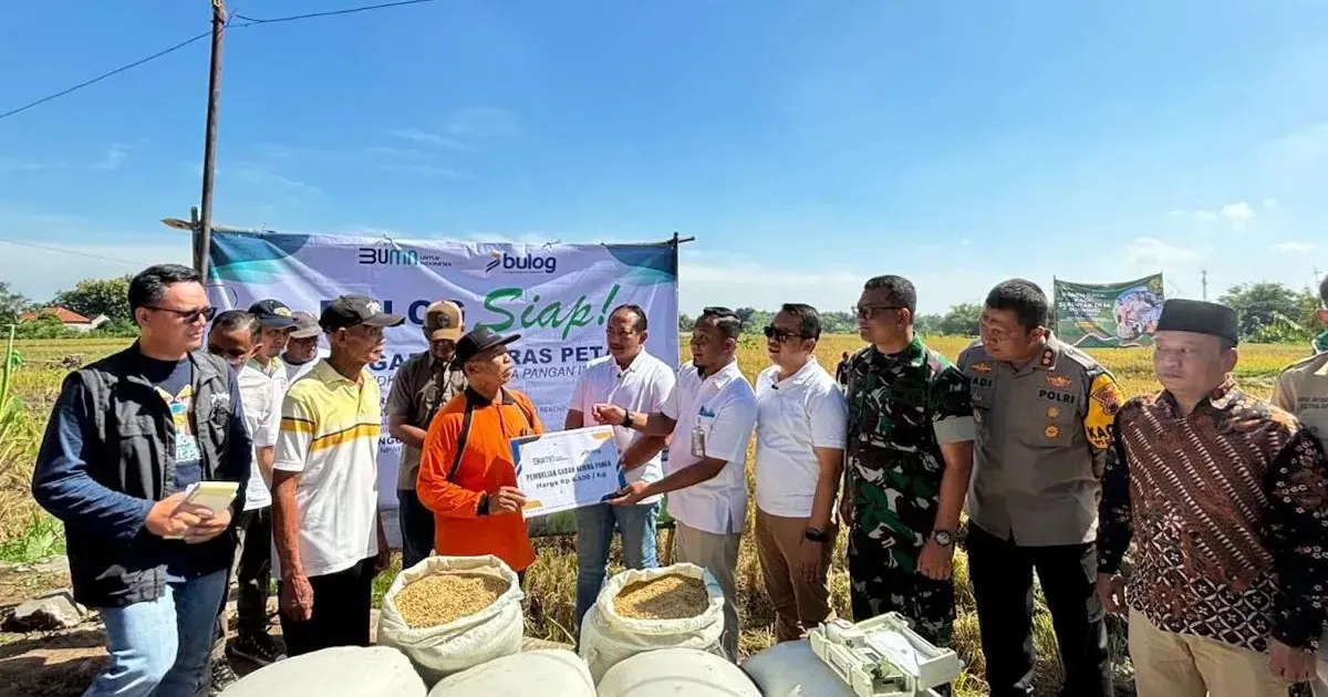 Bulog Klaim Penyerapan Gabah Petani Capai 1 Juta Ton Setara Beras
